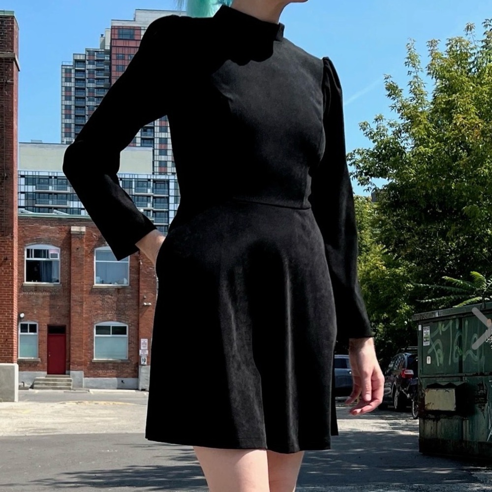Birds of North America Topaz dress